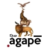 agape design ltd