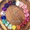 JK Collection
